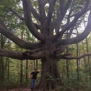 Meet your Posher, Aaron